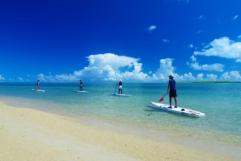 株式会社エス・オー・エル・プラスの求人・転職情報