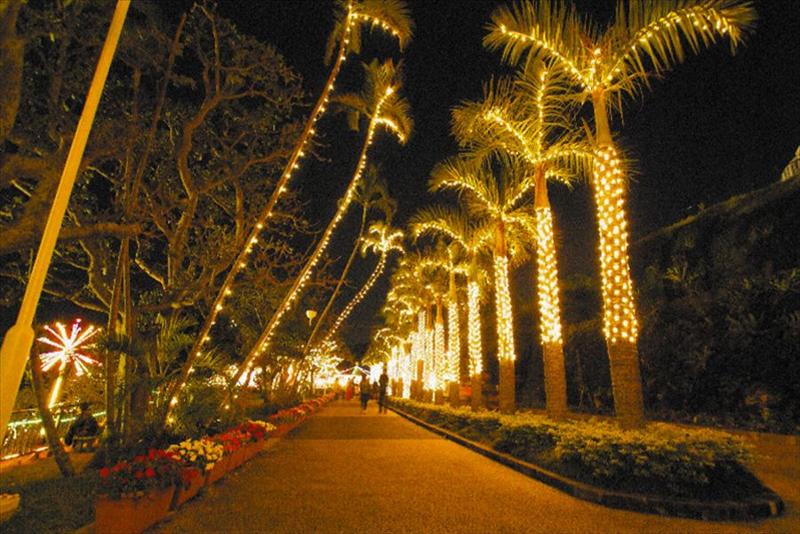 公益財団法人 沖縄こどもの国の求人・転職情報-05