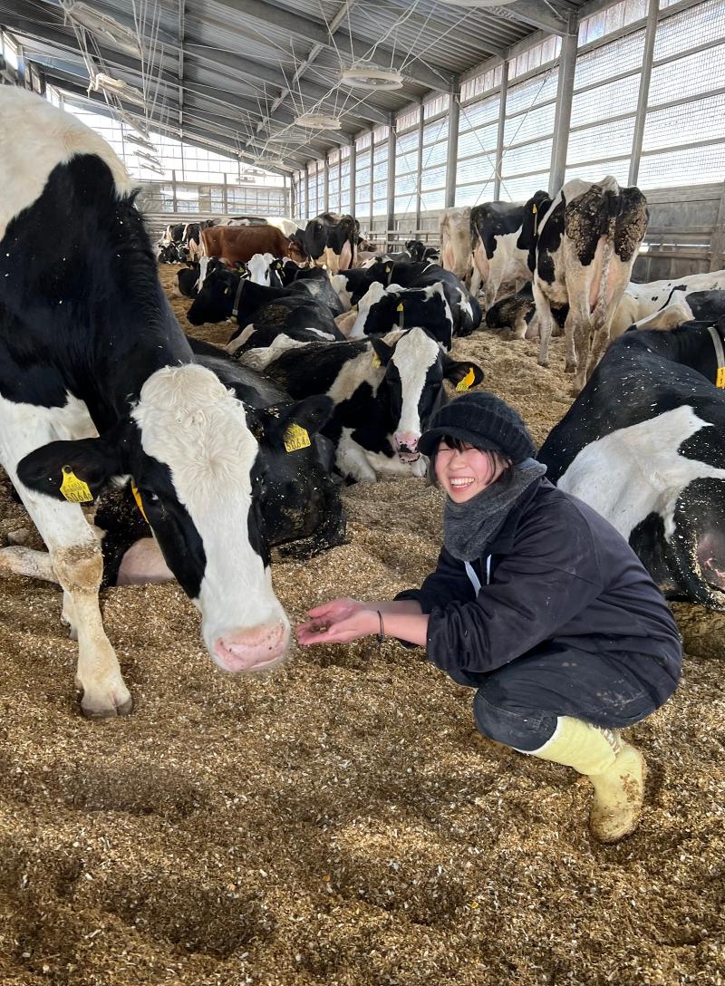 (有)金川牧場の求人・転職情報-04