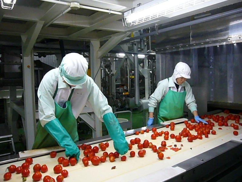 ゴールドパック株式会社　恵庭工場のアルバイト・バイト求人情報-04