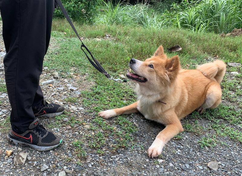 公益財団法人日本アニマルトラスト-0004の求人・転職情報