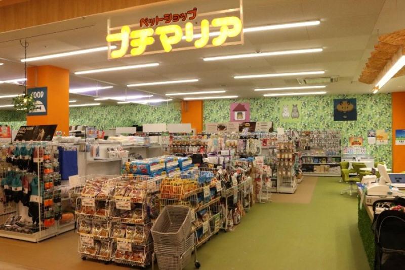 プチマリア イオン袋井店(株式会社スリーゼロ)のアルバイト・バイト求人情報-02