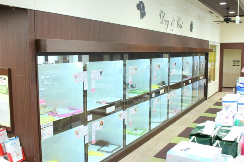 B-WEST　横浜永田台店(株式会社スリーゼロ)のアルバイト・バイト求人情報-04