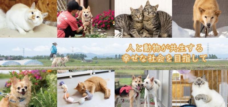 特定非営利活動法人　ＨＯＫＫＡＩＤＯしっぽの会の求人・転職情報