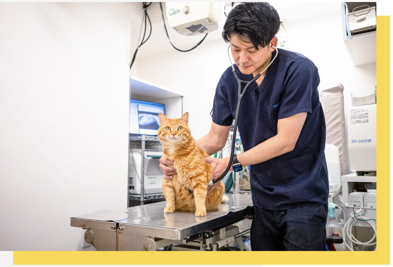 (株)Cat Cat Catのアルバイト・バイト求人情報-02