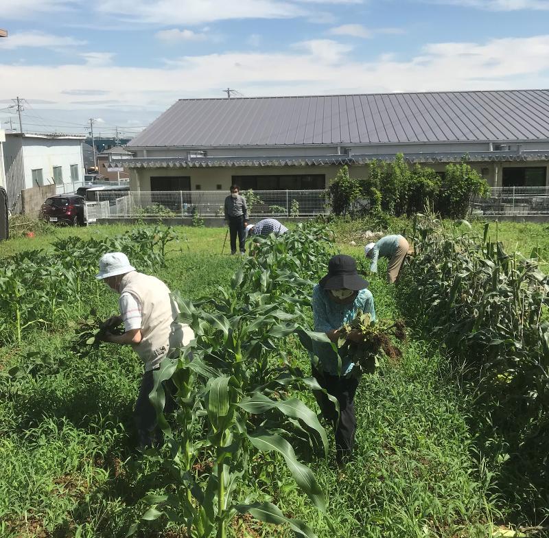 株式会社すこやからいふ すこやかデイサービスのアルバイト・バイト求人情報-05