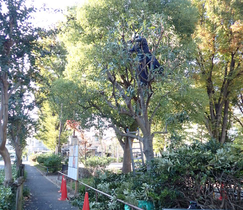 秋山造園株式会社のアルバイト・バイト求人情報-03