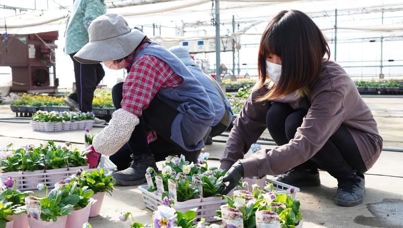 有限会社村岡オーガニックのアルバイト・バイト求人情報-04
