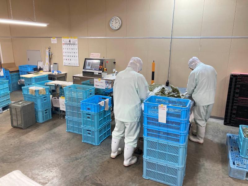 株式会社安曇野漬物のアルバイト・バイト求人情報-03