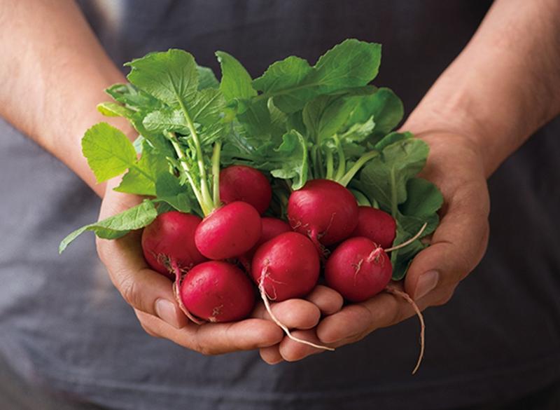 オイシックス・ラ・大地株式会社のアルバイト・バイト求人情報-02