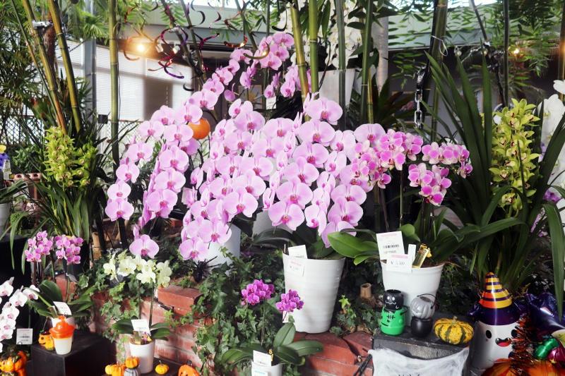 株式会社河野メリクロンの求人・転職情報