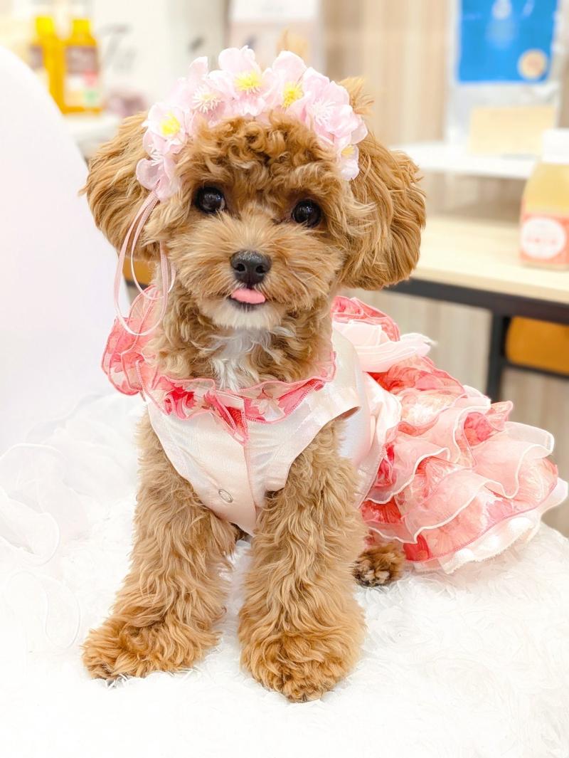 WANTISEのアルバイト・バイト求人情報-05