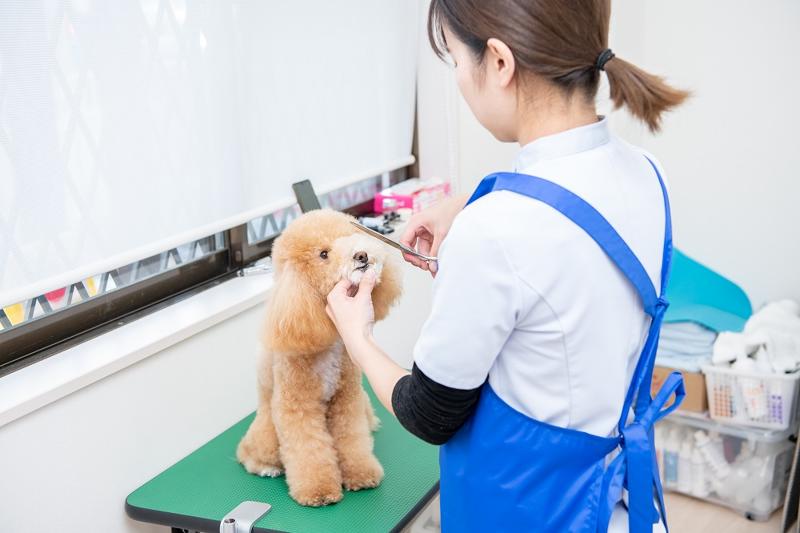 株式会社　花咲く動物病院のアルバイト・バイト求人情報-02