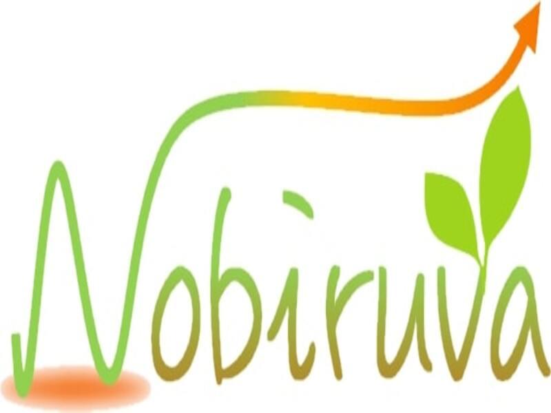 エルヴェ株式会社の求人・転職情報