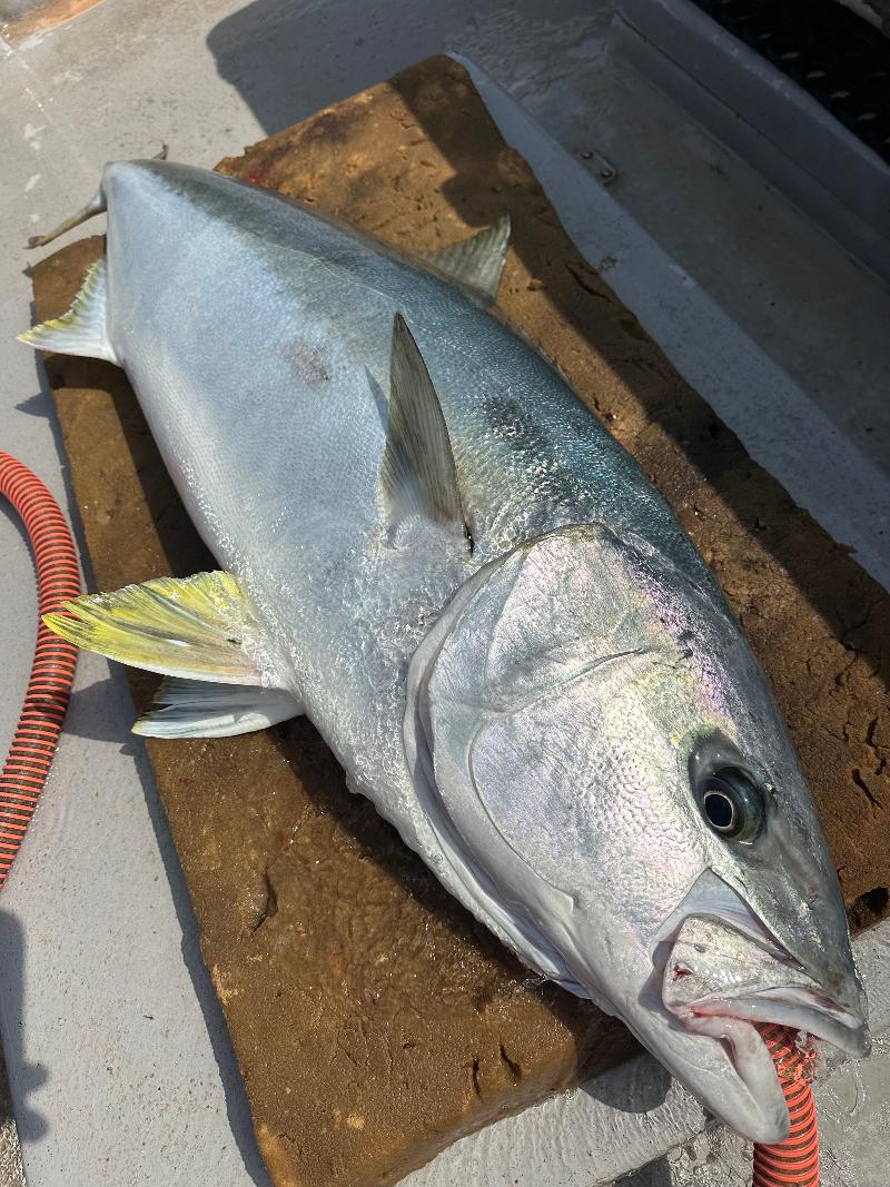 株式会社Beコネクトのアルバイト・バイト求人情報-02