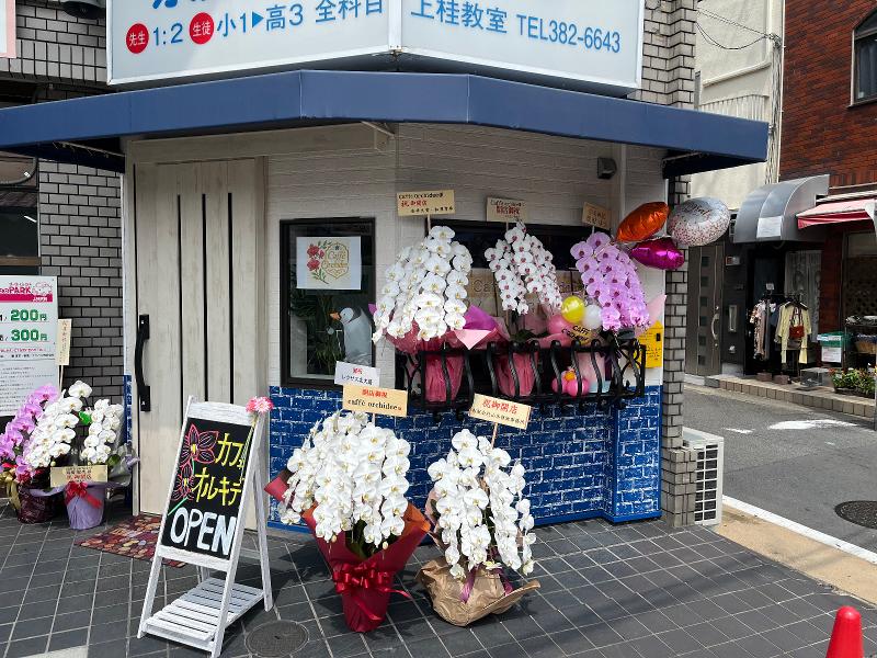 株式会社プラスパアの求人・転職情報