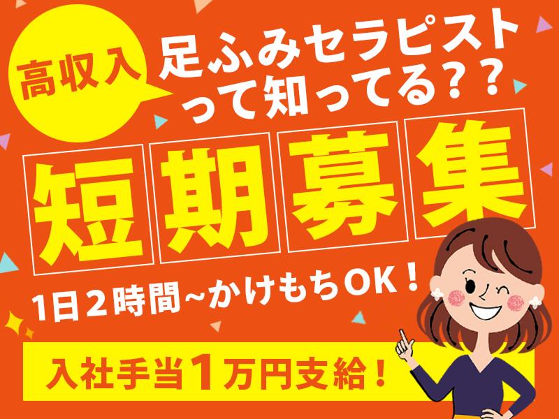 株式会社背乗り文鳥の求人・転職情報