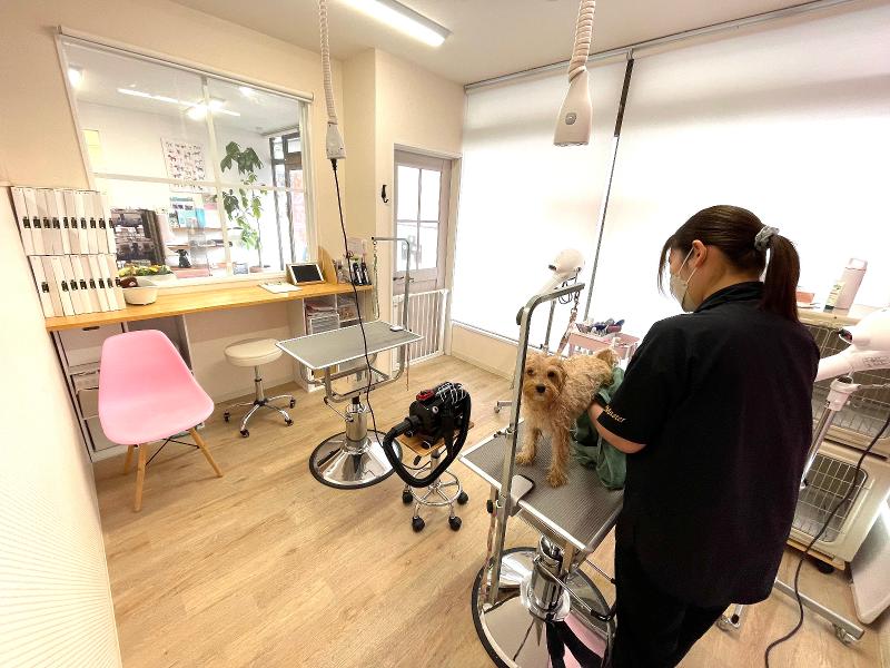 ZUTTO DOGのアルバイト・バイト求人情報-02