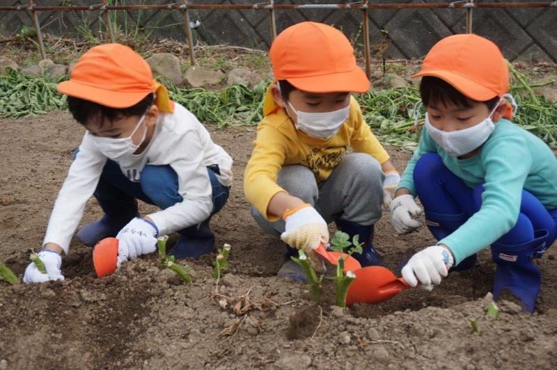 社会福祉法人致遠会　桜町保育園のアルバイト・バイト求人情報-04