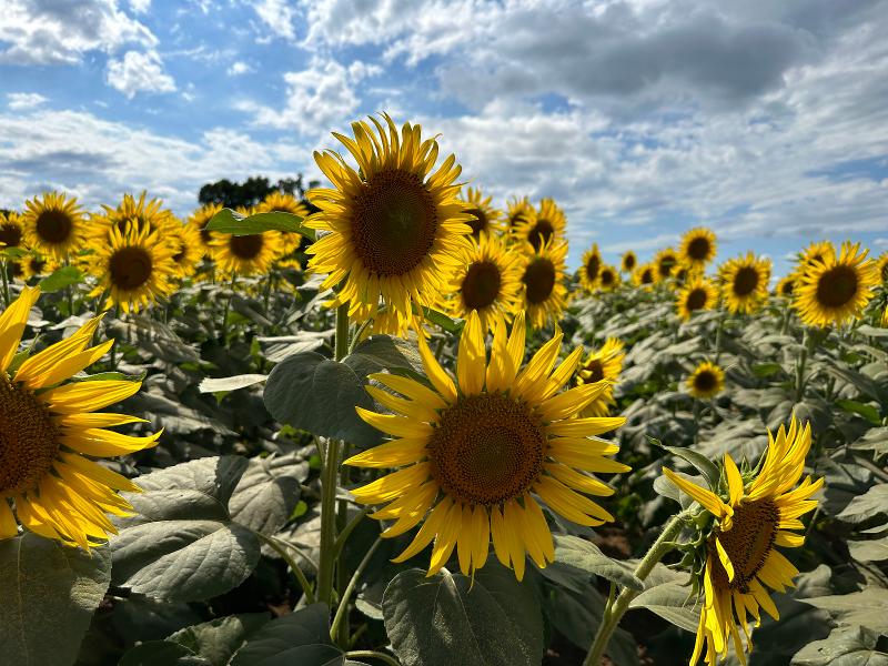 医療法人社団 双樹会 古田医院のアルバイト・バイト求人情報-05