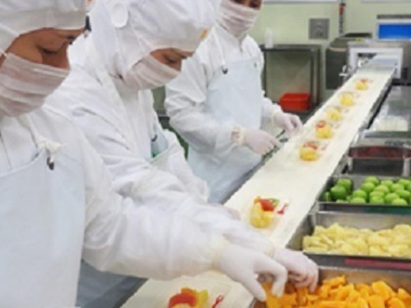 株式会社ファーマインドの求人・転職情報