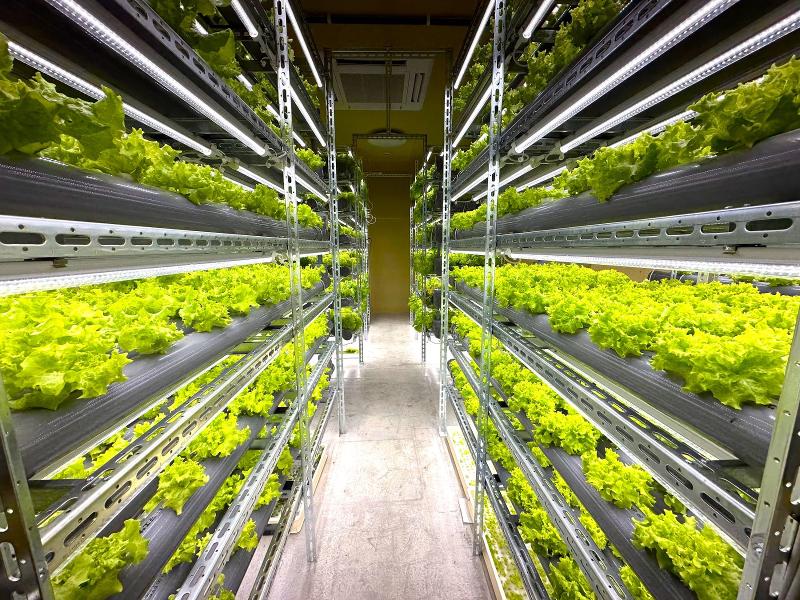 合同会社はなさくのアルバイト・バイト求人情報-02