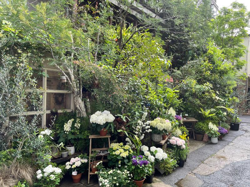 (有)ル・ベスベの求人・転職情報