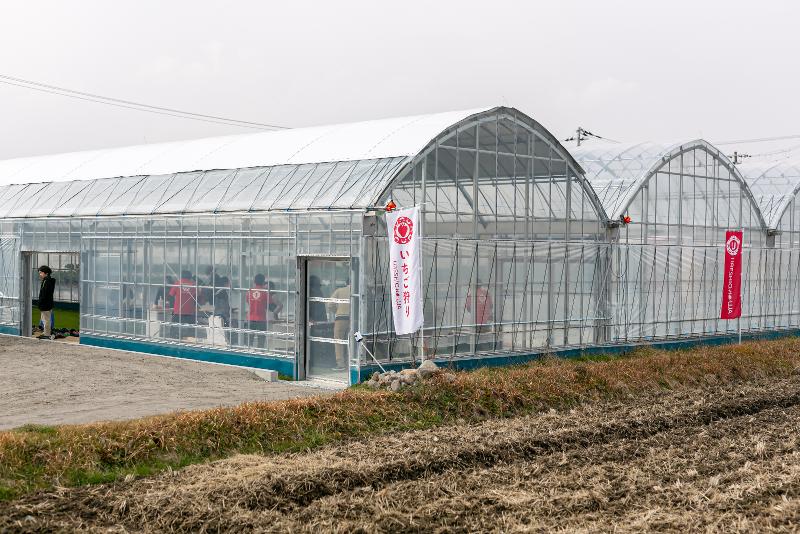 株式会社東馬場農園のアルバイト・バイト求人情報-04