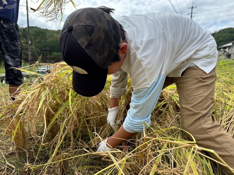 株式会社ポラリスのアルバイト・バイト求人情報-05