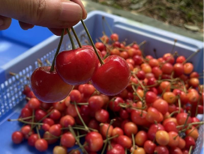 アグリパートナー(株)の求人・転職情報