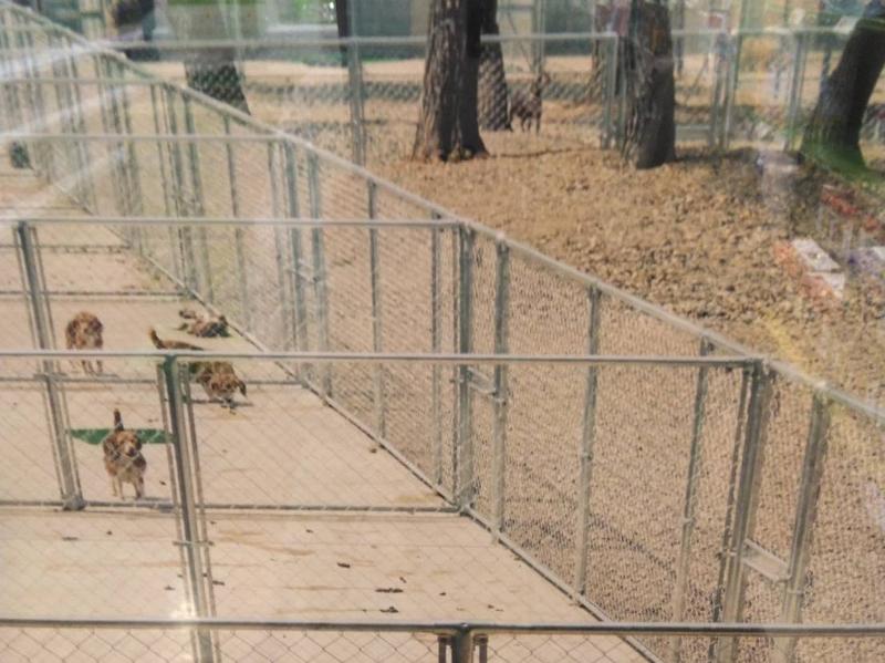 有限会社オオタキのアルバイト・バイト求人情報-04