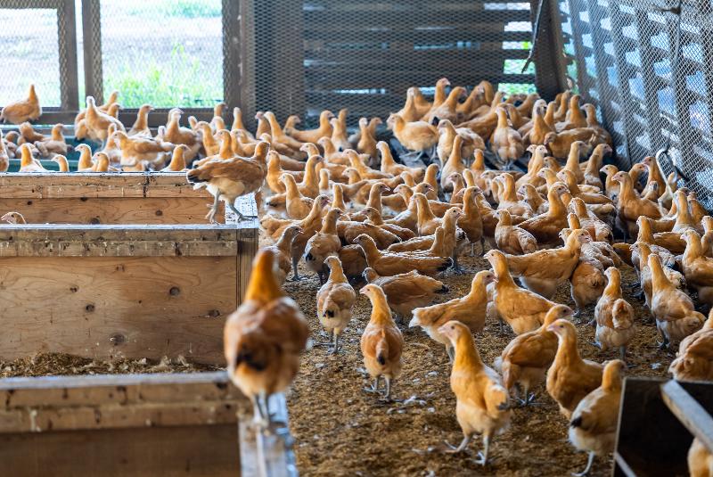 NPO法人ユアフィールドつくばのアルバイト・バイト求人情報-05