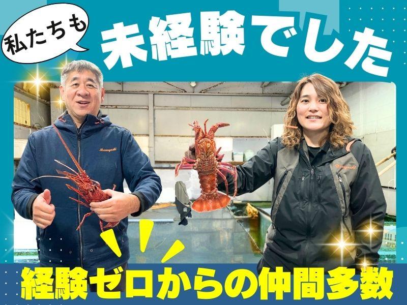 株式会社マルヨシ-0002の求人・転職情報