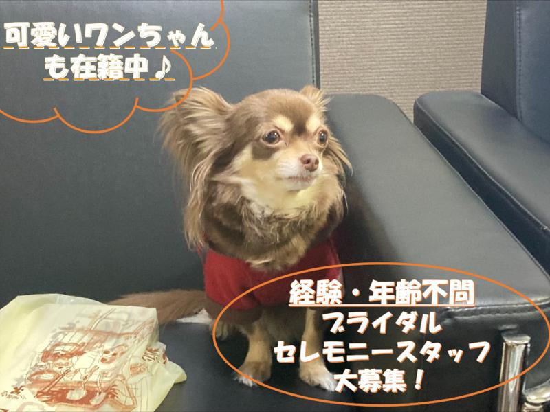 株式会社Wacの求人1