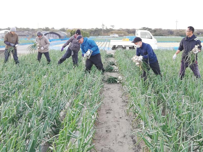 株式会社あったか農場のアルバイト・バイト求人情報-02