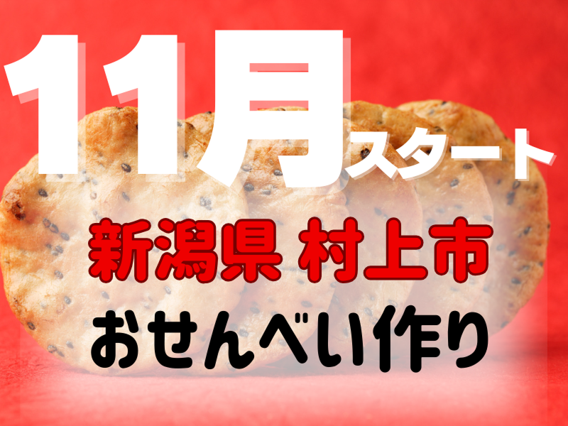 株式会社ワールドインテックのアルバイト・バイト求人情報-02