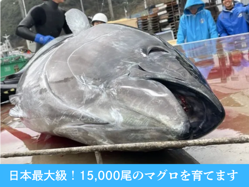 道水中谷水産 株式会社のアルバイト・バイト求人情報-02