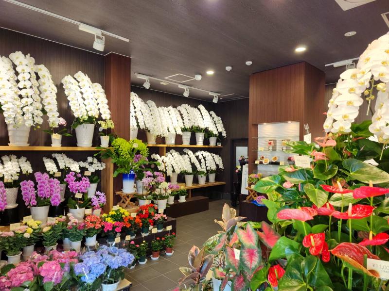 有限会社花金のアルバイト・バイト求人情報-02