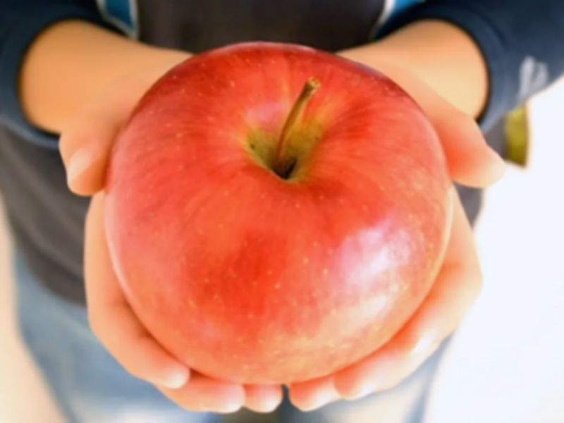 有限会社岩田青果の求人・転職情報