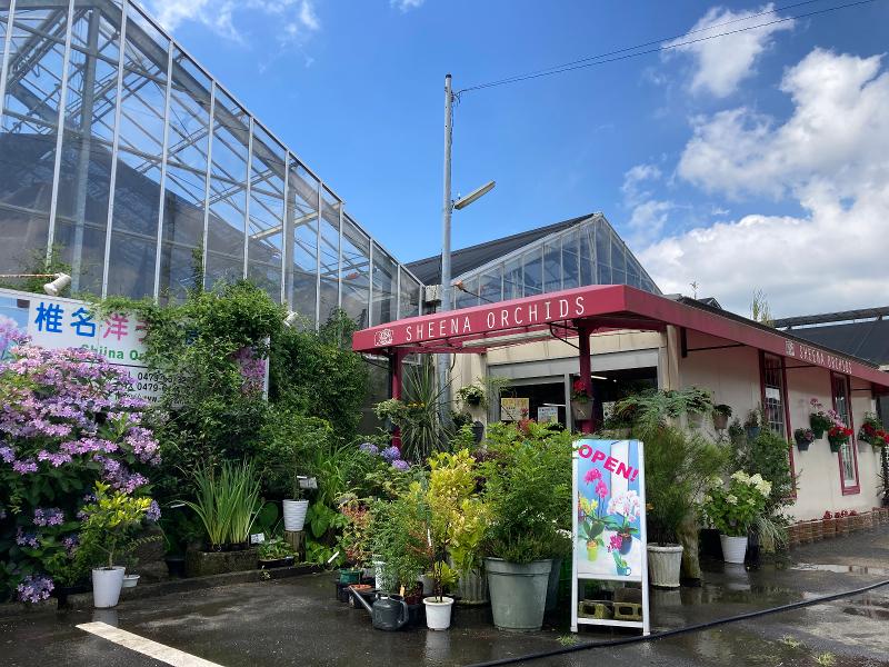 有限会社 椎名洋ラン園のアルバイト・バイト求人情報-02