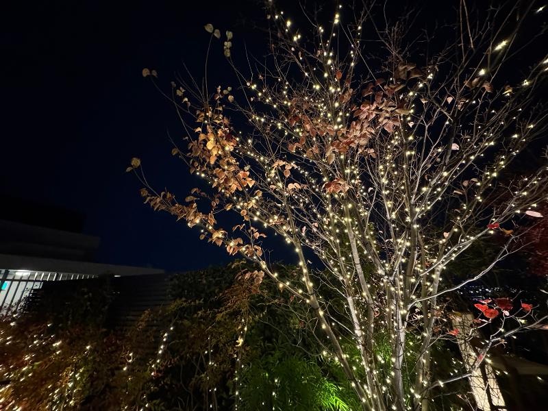 株式会社大真の求人・転職情報