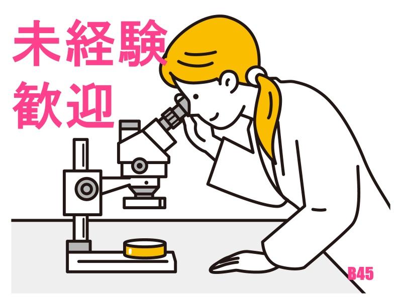 株式会社メッセの派遣求人情報