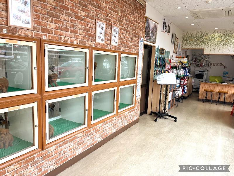 ペットショップいっぷくのアルバイト・バイト求人情報-05