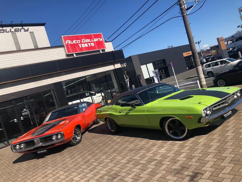 株式会社ＡＧの求人・転職情報