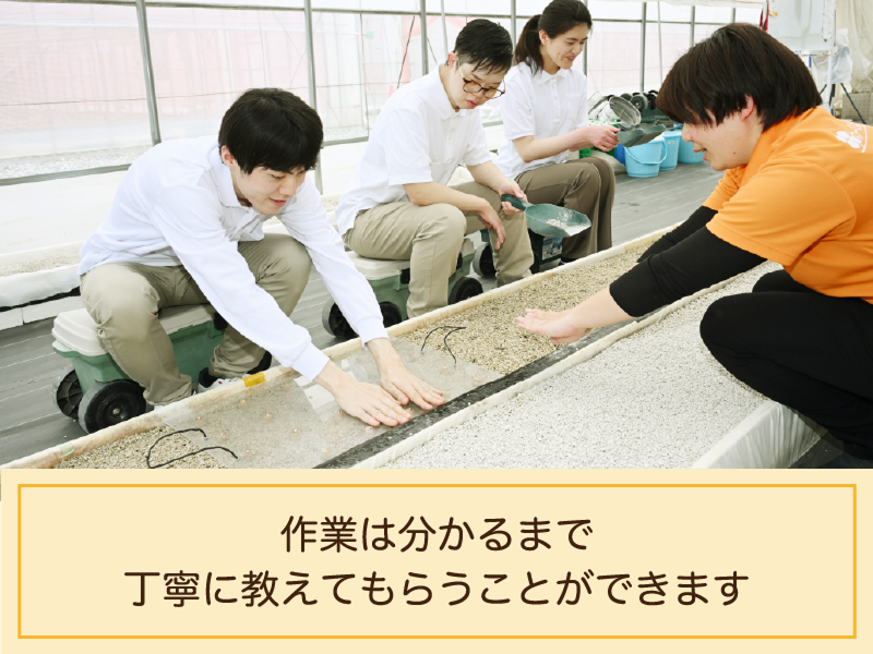 ソーシャルファーム　わーくはぴねす農園　あいち小牧のアルバイト・バイト求人情報-05