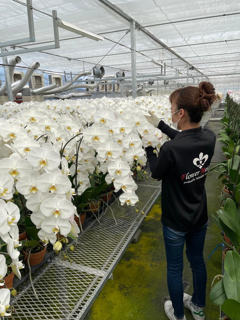 有限会社花匠の求人情報