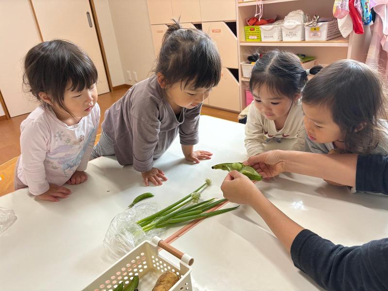 ピノキオ幼児舎茅ヶ崎保育園のアルバイト・バイト求人情報-02