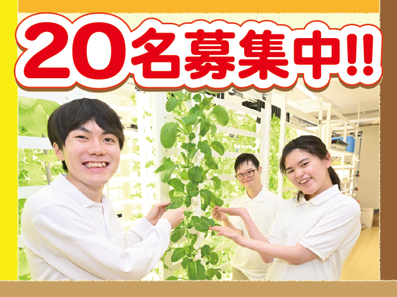 ソーシャルファーム わーくはぴねす農園Plus かながわ大和のアルバイト・バイト求人情報-01