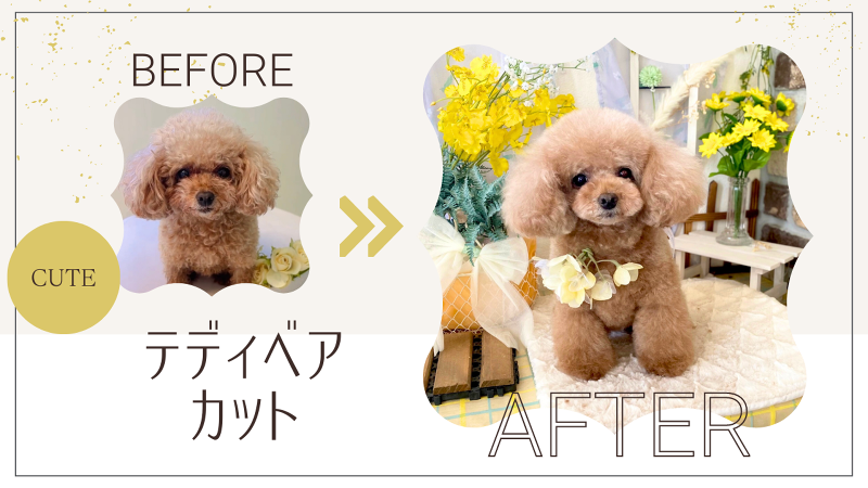 PUPPY株式会社のアルバイト・バイト求人情報-03