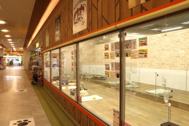 プチマリア イオン袋井店(株式会社スリーゼロ)のアルバイト・バイト求人情報-04